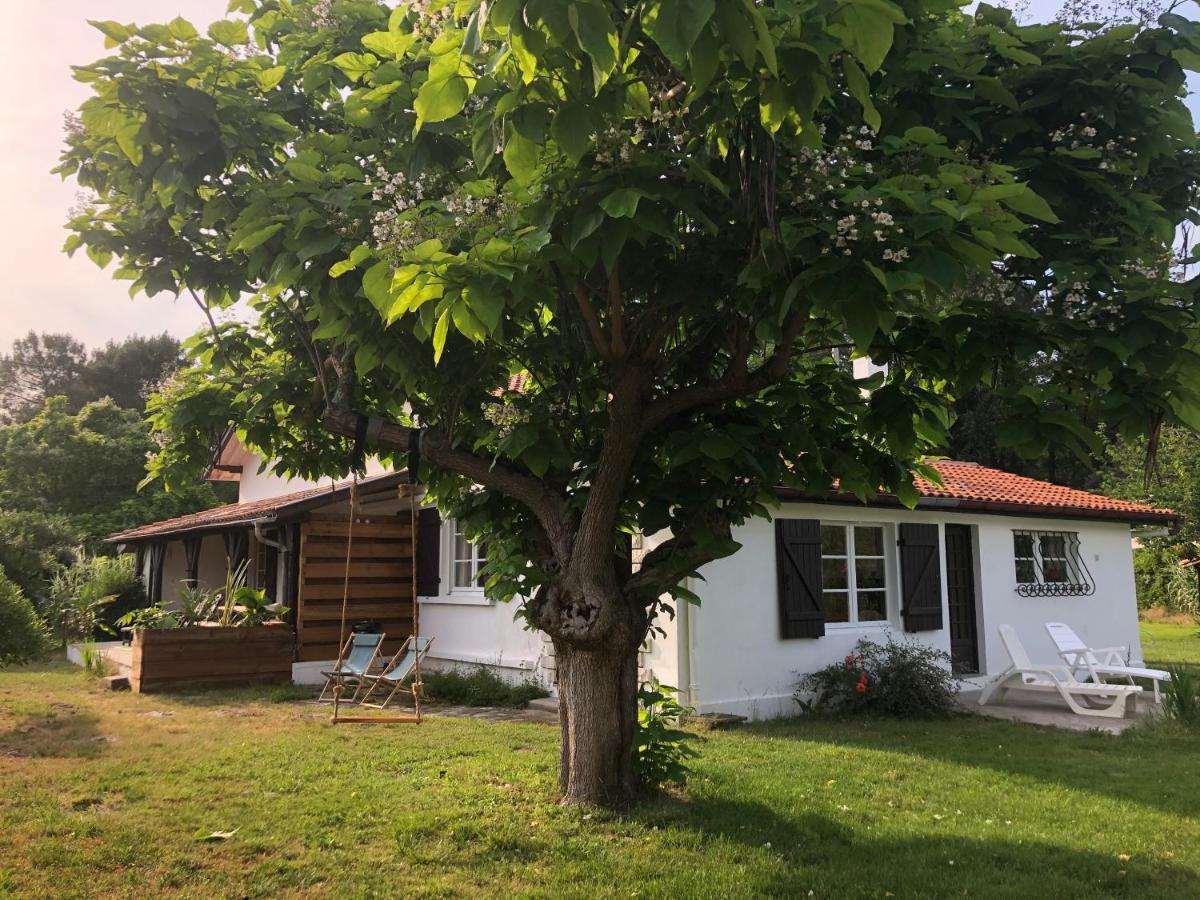 Villa Orcas Léon Exterior foto